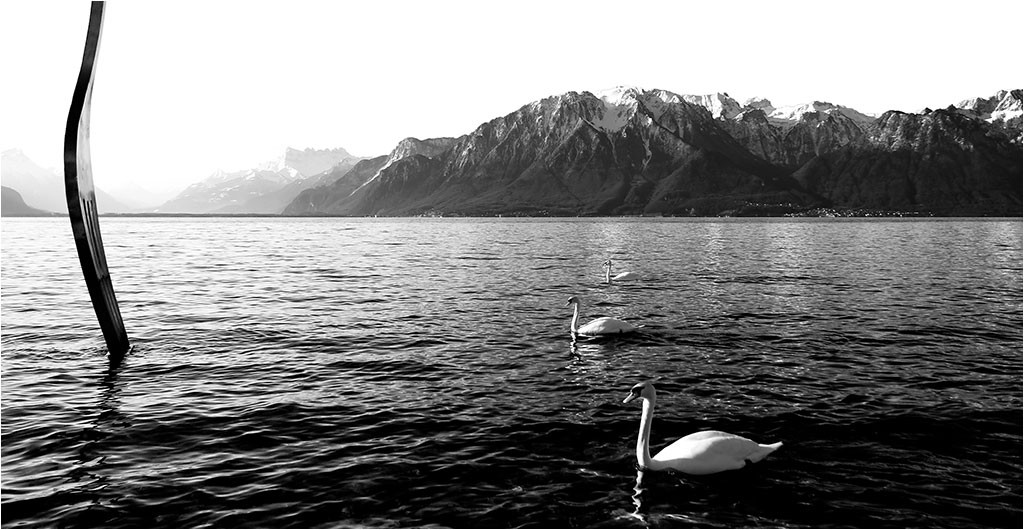 Suisse