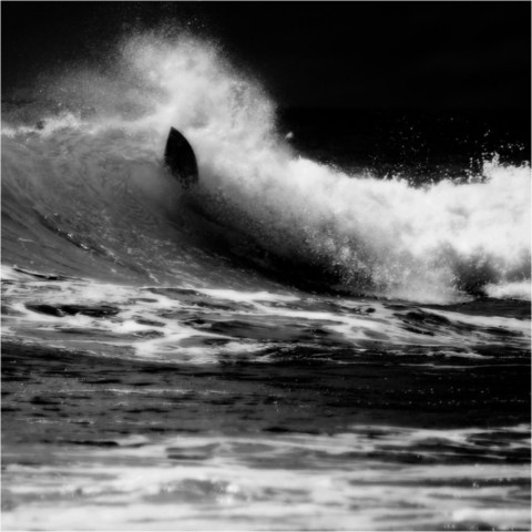 Surf