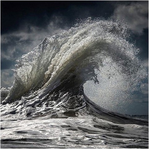 Ray COLLINS