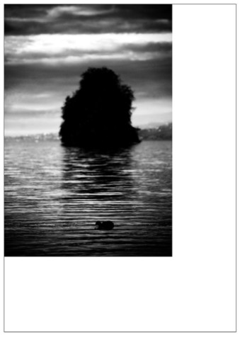 Exposition "Là où les images apprennent à rêver"